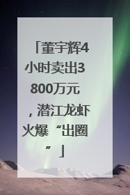 董宇辉4小时卖出3800万元，潜江龙虾火爆“出圈”