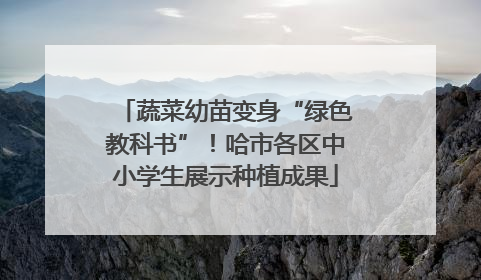 蔬菜幼苗变身“绿色教科书”！哈市各区中小学生展示种植成果