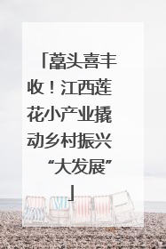 藠头喜丰收！江西莲花小产业撬动乡村振兴“大发展”