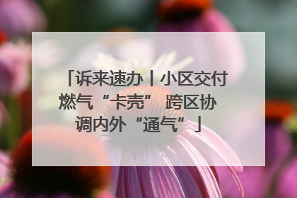 诉来速办丨小区交付燃气“卡壳” 跨区协调内外“通气”