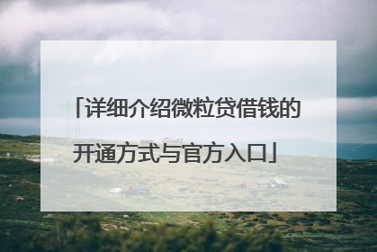 详细介绍微粒贷借钱的开通方式与官方入口