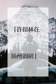 许昆林在扬州调研