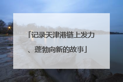 记录天津港链上发力、蓬勃向新的故事