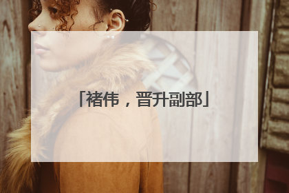 褚伟，晋升副部