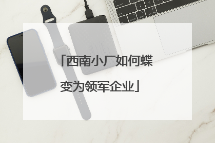 西南小厂如何蝶变为领军企业