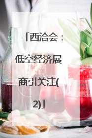 西洽会：低空经济展商引关注(2)