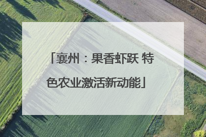 襄州：果香虾跃 特色农业激活新动能