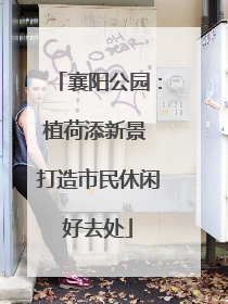 襄阳公园：植荷添新景 打造市民休闲好去处