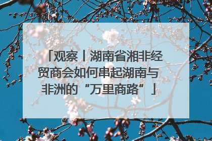 观察丨湖南省湘非经贸商会如何串起湖南与非洲的“万里商路”