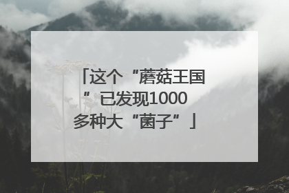 这个“蘑菇王国”已发现1000多种大“菌子”