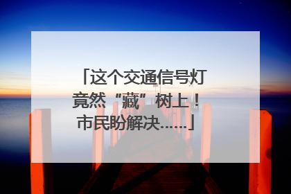 这个交通信号灯竟然“藏”树上！市民盼解决……
