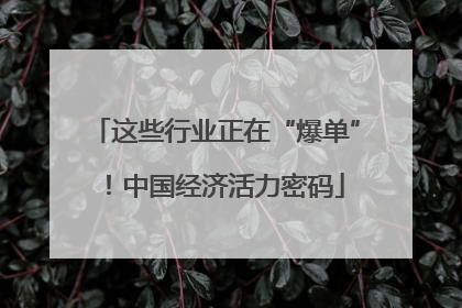 这些行业正在“爆单”！中国经济活力密码