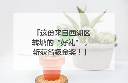 这份来自西湖区转塘的“好礼”，斩获省级金奖！