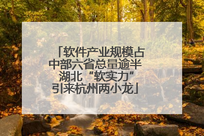 软件产业规模占中部六省总量逾半 湖北“软实力”引来杭州两小龙