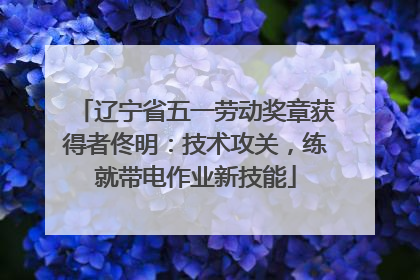 辽宁省五一劳动奖章获得者佟明：技术攻关，练就带电作业新技能