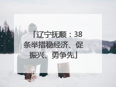 辽宁抚顺：38条举措稳经济、促振兴、勇争先