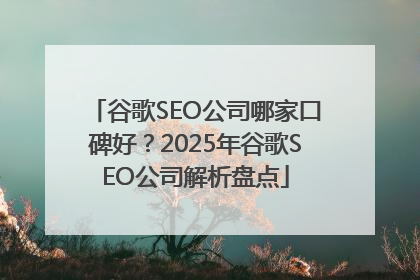 谷歌SEO公司哪家口碑好？2025年谷歌SEO公司解析盘点