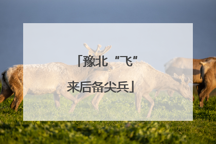 豫北“飞”来后备尖兵