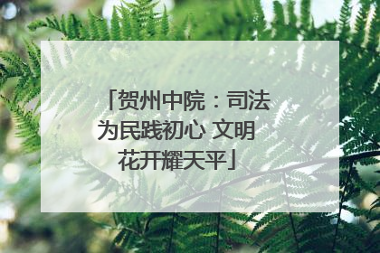 贺州中院：司法为民践初心 文明花开耀天平