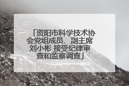 资阳市科学技术协会党组成员、副主席刘小彬 接受纪律审查和监察调查