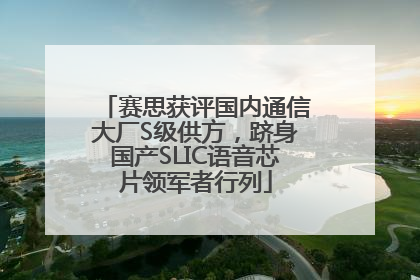 赛思获评国内通信大厂S级供方，跻身国产SLIC语音芯片领军者行列