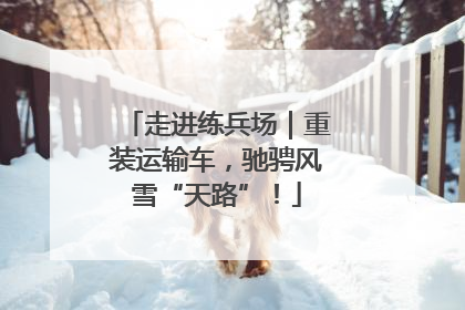 走进练兵场｜重装运输车，驰骋风雪“天路”！