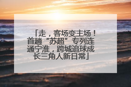 走，客场变主场！首趟“苏超”专列连通宁淮，跨城追球成长三角人新日常