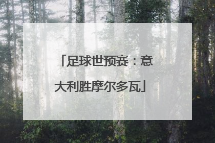 足球世预赛：意大利胜摩尔多瓦