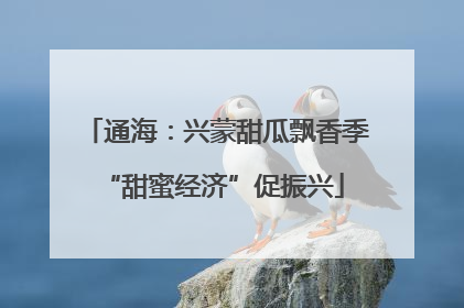 通海：兴蒙甜瓜飘香季 “甜蜜经济”促振兴
