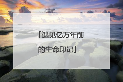 遇见亿万年前的生命印记
