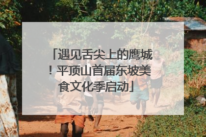 遇见舌尖上的鹰城！平顶山首届东坡美食文化季启动