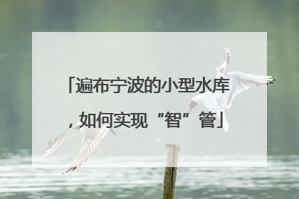 遍布宁波的小型水库，如何实现“智”管