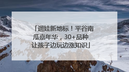 遛娃新地标！平谷南瓜嘉年华，30+品种让孩子边玩边涨知识
