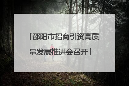 邵阳市招商引资高质量发展推进会召开
