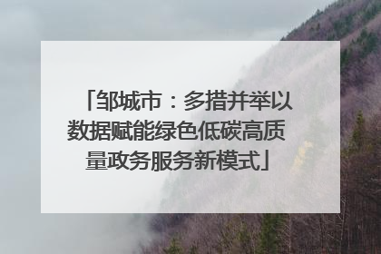 邹城市：多措并举以数据赋能绿色低碳高质量政务服务新模式