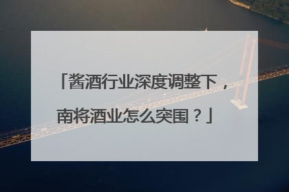 酱酒行业深度调整下，南将酒业怎么突围？