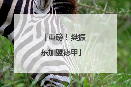 重磅！樊振东加盟德甲