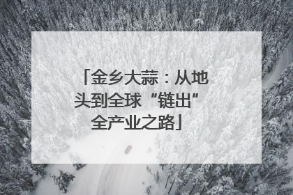 金乡大蒜：从地头到全球“链出”全产业之路