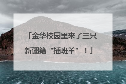 金华校园里来了三只新疆籍“插班羊”！