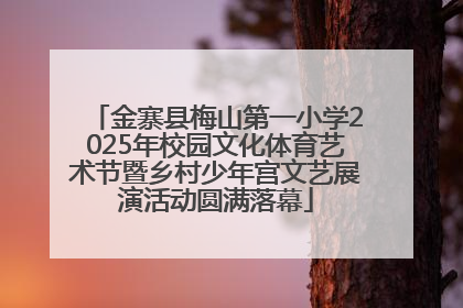 金寨县梅山第一小学2025年校园文化体育艺术节暨乡村少年宫文艺展演活动圆满落幕
