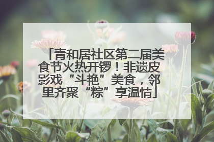 青和居社区第二届美食节火热开锣！非遗皮影戏“斗艳”美食，邻里齐聚“粽”享温情