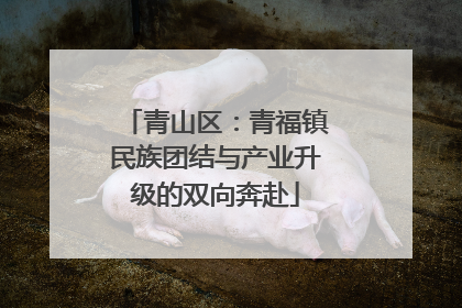 青山区：青福镇民族团结与产业升级的双向奔赴