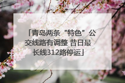 青岛两条“特色”公交线路有调整 昔日最长线312路停运