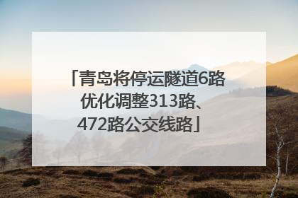 青岛将停运隧道6路 优化调整313路、472路公交线路