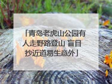 青岛老虎山公园有人走野路登山 盲目抄近道易生意外