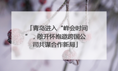 青岛进入“峰会时间”，敞开怀抱邀跨国公司共谋合作新局