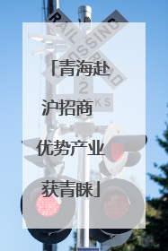 青海赴沪招商 优势产业获青睐