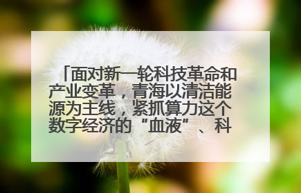 面对新一轮科技革命和产业变革，青海以清洁能源为主线，紧抓算力这个数字经济的“血液”、科技主权的“筹码”、产业升级的“杠杆”、绿色转型的“支点”，勇于撬动国家“双碳”战略、“东数西算”工程重大发展新机遇