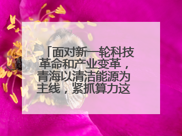面对新一轮科技革命和产业变革，青海以清洁能源为主线，紧抓算力这个数字经济的“血液”、科技主权的“筹码”、产业升级的“杠杆”、绿色转型的“支点”，勇于撬动国家“双碳”战略、“东数西算”工程重大发展新机遇，点亮绿色算电协同新赛道，蹚出一条符合本地实际的高质量发展之路——青海：“绿色算力” 锚定“东数西算”国家战略布局