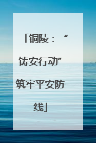 铜陵：“铸安行动”筑牢平安防线